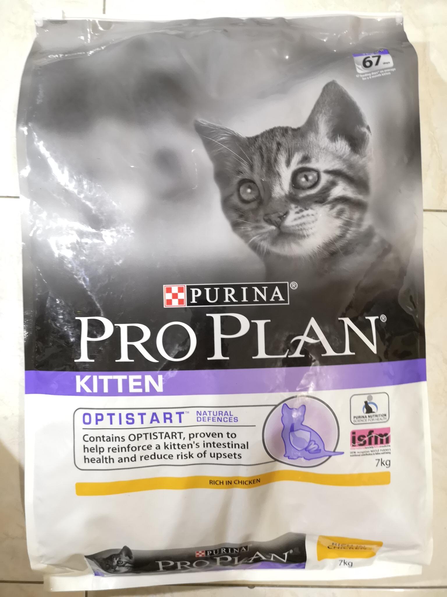 proplan kitten