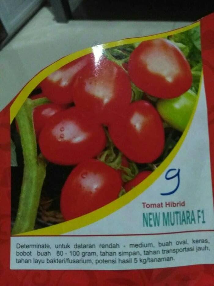 isi 20 biji benih bibit tomat mutiara perl tomato unggul lokal