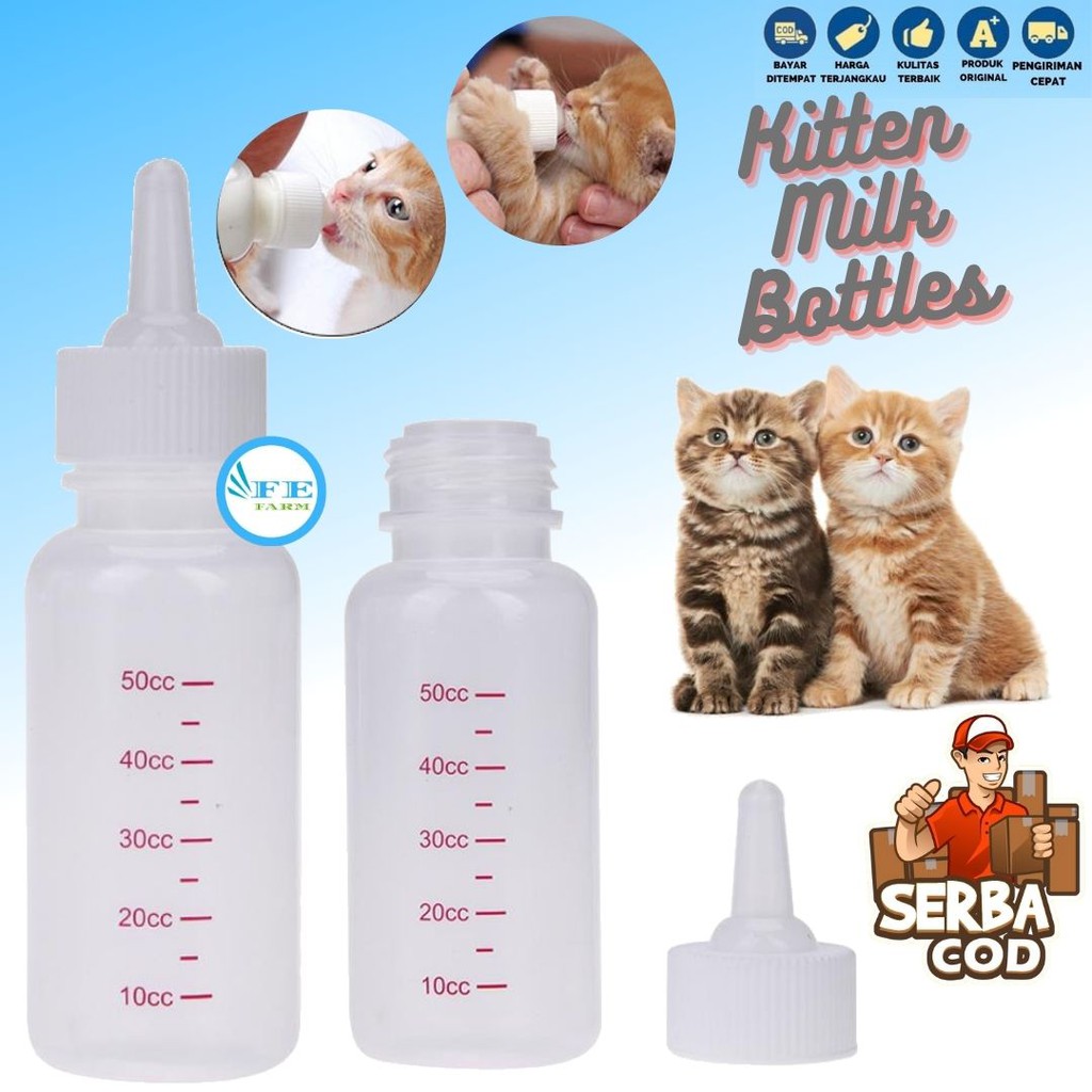 Jual botol susu khusus kucing Terbaru  Lazada.co.id