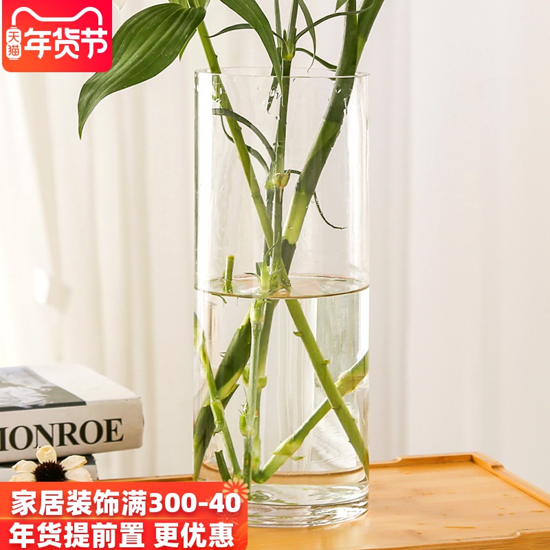 Transparent Hydroponic Lucky Bamboo Transparent Glass Vase Flower