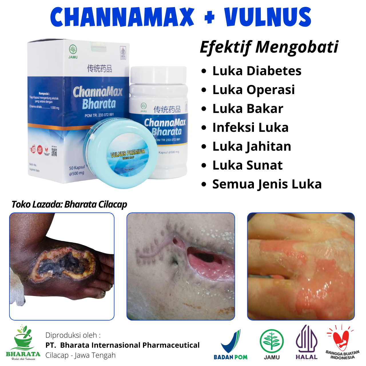 Paket Obat Pengering luka Luar&Dalam-Kapsul Channamax & Salep Vulnus ...