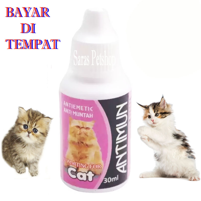 Obat Sakit Perut Kucing Mual Muntah Lemas Mulas Antimun Kitten Lazada Indonesia