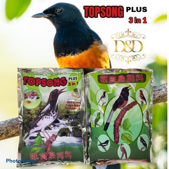 PAKAN BURUNG TOPSONG 3 in 1 madu warna voor coklat/kuning | Lazada Indonesia