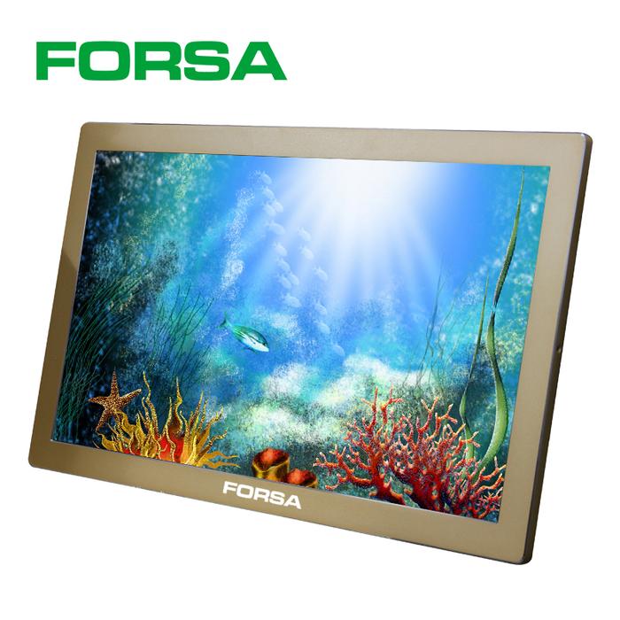 Forsa LCD Touchscreen 21.5