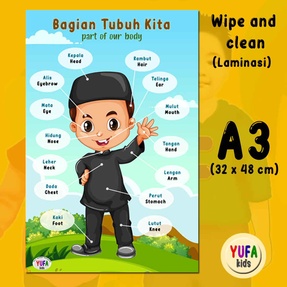 047 Poster Mengenal Anggota Tubuh - Poster Wipe N Clean - Poster ...