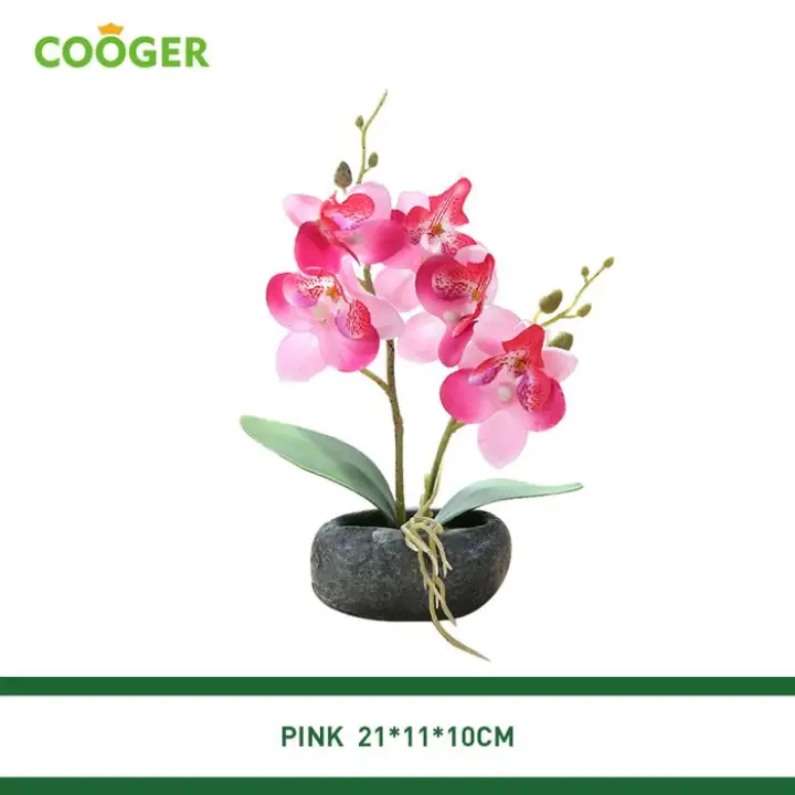 Cooger Bunga Anggrek Artificial Dengan Pot Batu Ukuran Besar Rose Red Sedia Bunga Hiasan Ruang Tamu