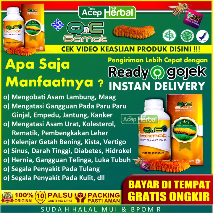 Qnc Jelly Gamat Acep Herbal Jelly Gamat Asli Khasiatnya Terbukti Aman Untuk Ibu Hamil Dan Menyusui