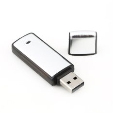 2in1 8 GB Digital Audio Perekam Suara Pen USB Flash Memory Drive Disk