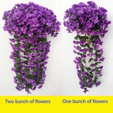 1 Sekumpulan Usahatani Bracketplant Violet Karangan Bunga Menggantung Bunga Merambat Traling