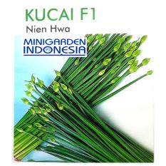 10 Bibit Benih Tanaman Daun Bawang Kucai NIEN HWA F1