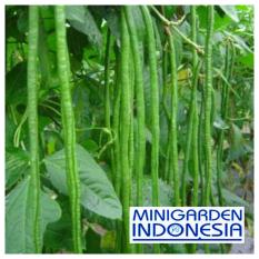 25 Benih Kacang panjang super Bibit Tanaman Sayur