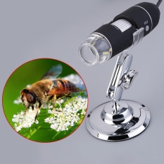 50-500X 2MP LED Mikroskop Digital Endoskopi Kamera Pembesar Video W/Stand-Intl