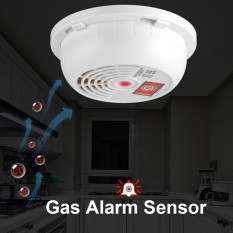 70db Kebocoran Gas Alam Alarm Peringatan Sensor Detector Rumah Alat Keamanan dengan Lampu Indikator-Internasional