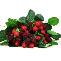 9 Buah Bunga Dekorasi Buah Buatan Dayung Strawberry Foto Tanaman Buatan Rumah Dekorasi Merah