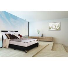 Airland New Eco Algerian 25 Cm Soft 100X200 Kasur Tanpa Divan/Sandaran