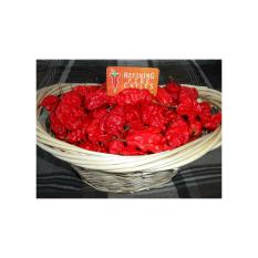 Amefurashi Benih / Bibit / Biji Cabe Pedas Jays Red Pepper