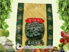 Benih Bayam Hijau