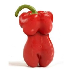 50 Benih Bibit Biji Cabe Cabai Seksi (Sexy Beauty Pepper Seeds) Limited!!!