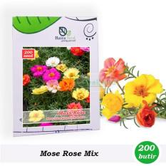 Benih-Bibit Bunga Moss Rose Portulaca Grandifolora Mix (Haira Seed)