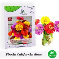 Benih-Bibit Bunga Zinnia California Giant Mix (Haira Seed)
