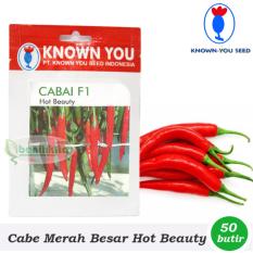 Benih - Bibit Cabe Merah Besar Hot Beauty F1 (Known You Seed)