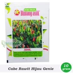 Benih-Bibit Cabe Rawit Hijau Genie (Bintang Asia)