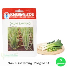 Benih - Bibit Daun Bawang Fragrant (Known-You Seed)