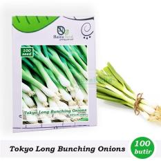 Benih-Bibit Daun Bawang Tokyo Long Bunching (Haira Seed)
