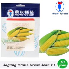 Benih-Bibit Jagung Manis Great Jean F1 (Known You Seed)