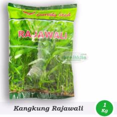 Benih-Bibit Kangkung Rajawali (Garuda Seed)