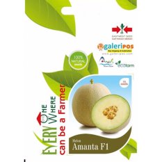 Benih / bibit melon 1 pouch isi 15 seed, biji melon kualitas terbaik