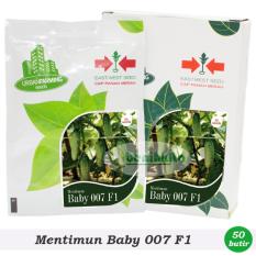 Benih-Bibit Mentimun Baby 007 F1 (Cap Panah Merah)