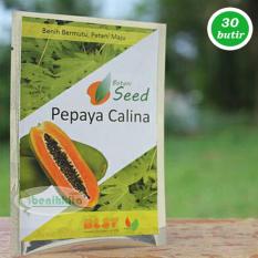 Benih-Bibit Pepaya Calina (California) IPB 9 (Botani Seed)