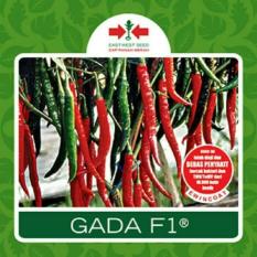 Benih Bibit Tanaman Cabe Cabai Besar Hibrida GADA F1(10Grm)