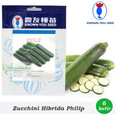 Benih - Bibit Zucchini Hibrida Philip (Known You Seed)