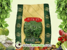 Benih Kangkung Daun Lebar