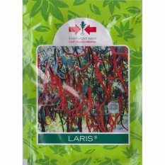 Benih Panah Merah Cabe Keriting Laris - 10 gram