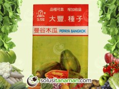 Benih Pepaya Papaya