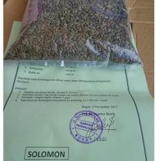 Benih Sengon Solomon 1000gram Asli dgn Sertipikat