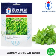 Benih/Bibit Bayam Hijau Lu Hsien (Known You Seed)