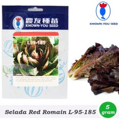 Benih/Bibit Selada Red Romain L95-185 (Known You Seed)