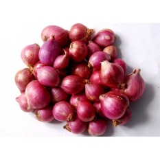 berisi 26 biji benih / bibit bawang merah kecil