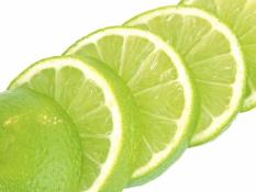 berisi 29 biji benih / bibit buah jeruk nipis unggul