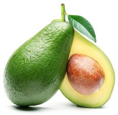 berisi 5 biji benih / bibit buah alpukat