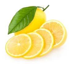 berisi 5 biji benih / bibit buah lemon import