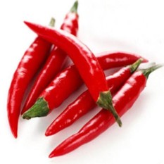 berisi 59 biji benih / bibit cabe / cabai merah tanjung