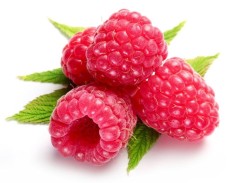 berisi 6 biji benih / bibit buah arbei merah hutan