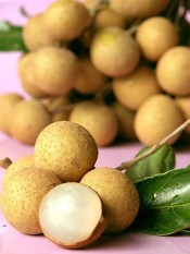 berisi 9 biji benih / bibit buah kelengkeng super