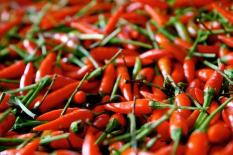 berisi 97 biji benih / bibit cabe / cabai rawit lokal