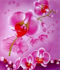 BEST SELLER!! Selimut Internal - Orchidseprai kintakun / seprai bonita / seprai my love / seprai polos / seprai murah / seprai rumbai / seprai california / seprai karakter